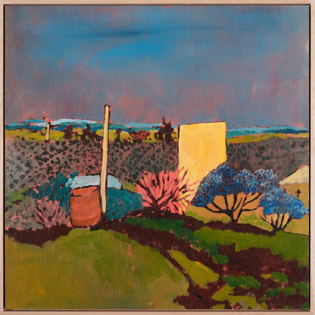 Neil Tomkins - Front Yard Change